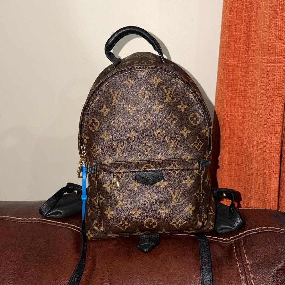 🔥🔥🔥Authentic Louis Vuitton Monogram Palm Springs Backpack PM - Picture 2 of 16